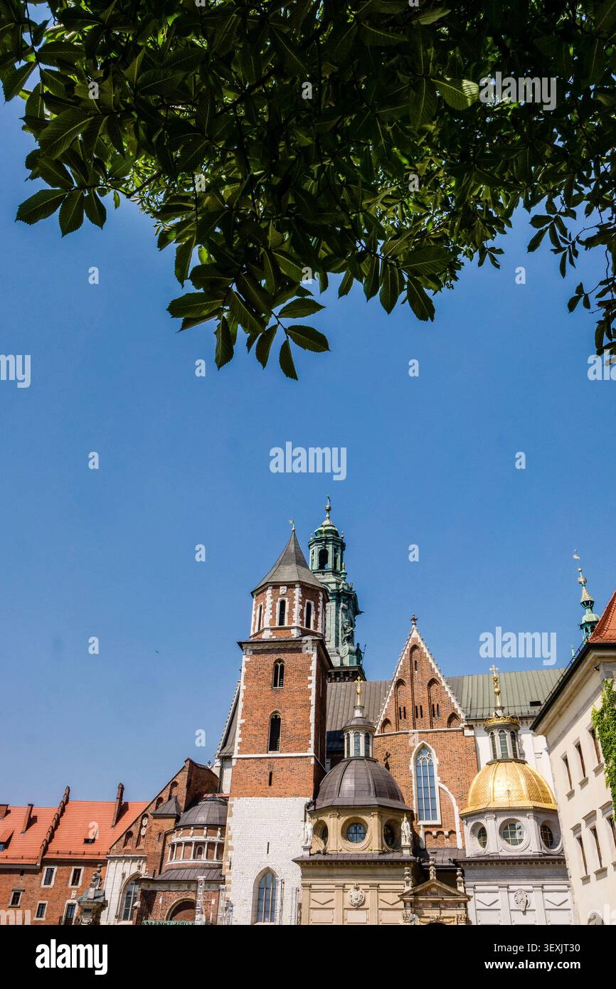 Wawel Cathedral, exterior and gardens, Polish national shrine, Krakow, Poland, eastern Europe Stock Photo