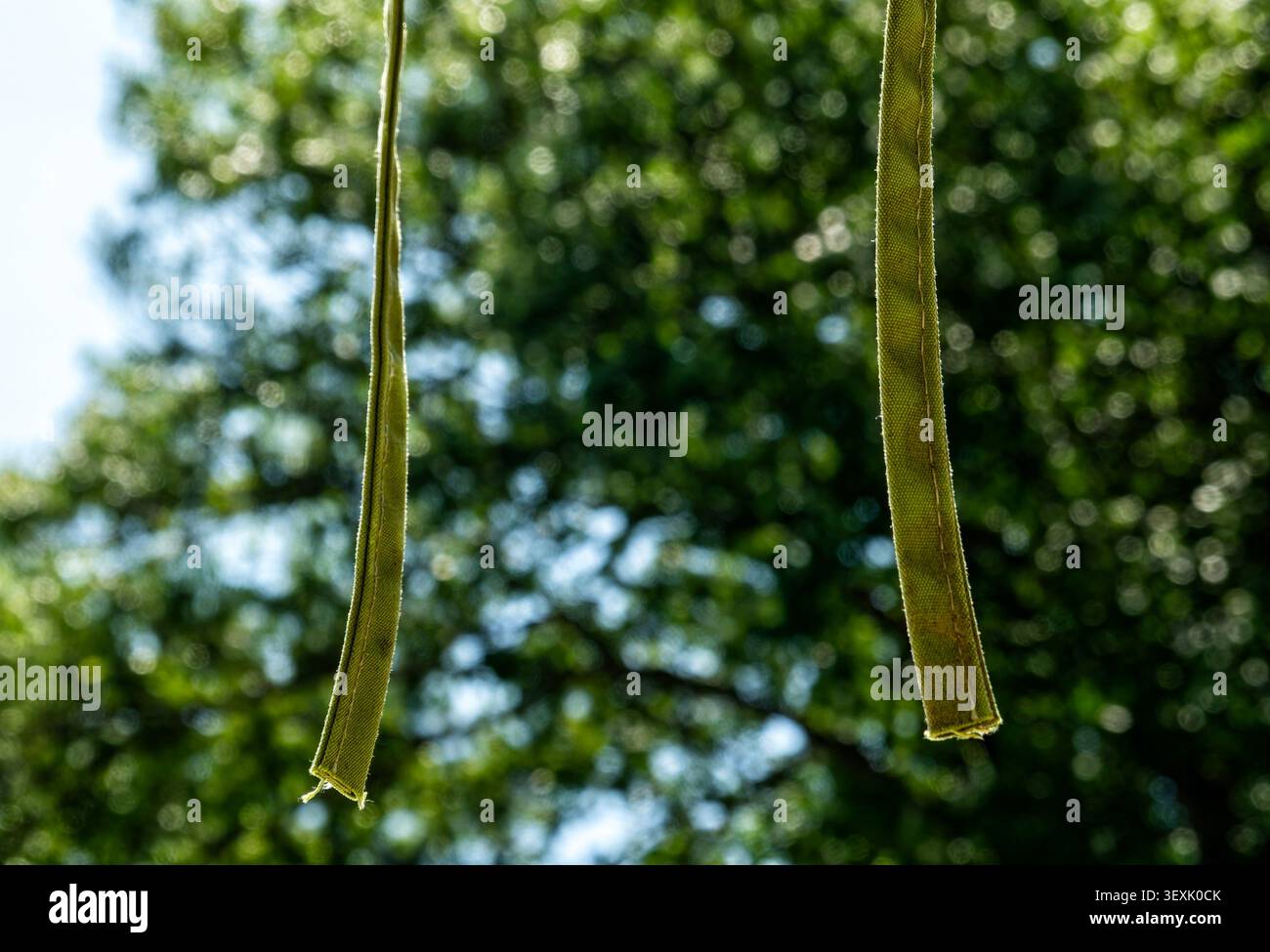 Two tassels hanging from a swimming pool beach umbrella. Stock Photo
