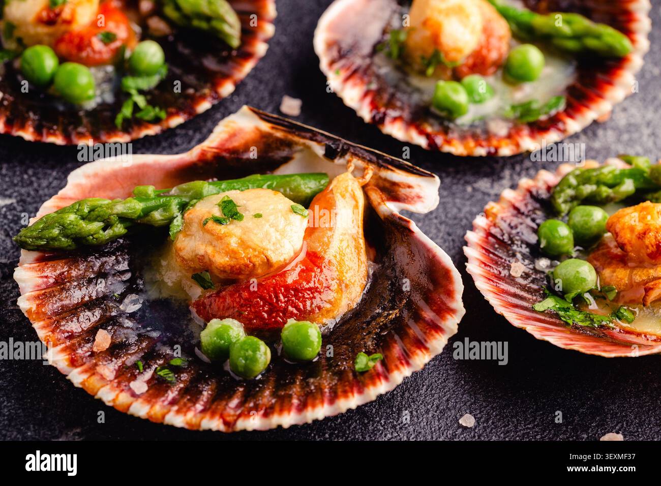 Cooked scallops with vegetables on a dark background Stock Photo