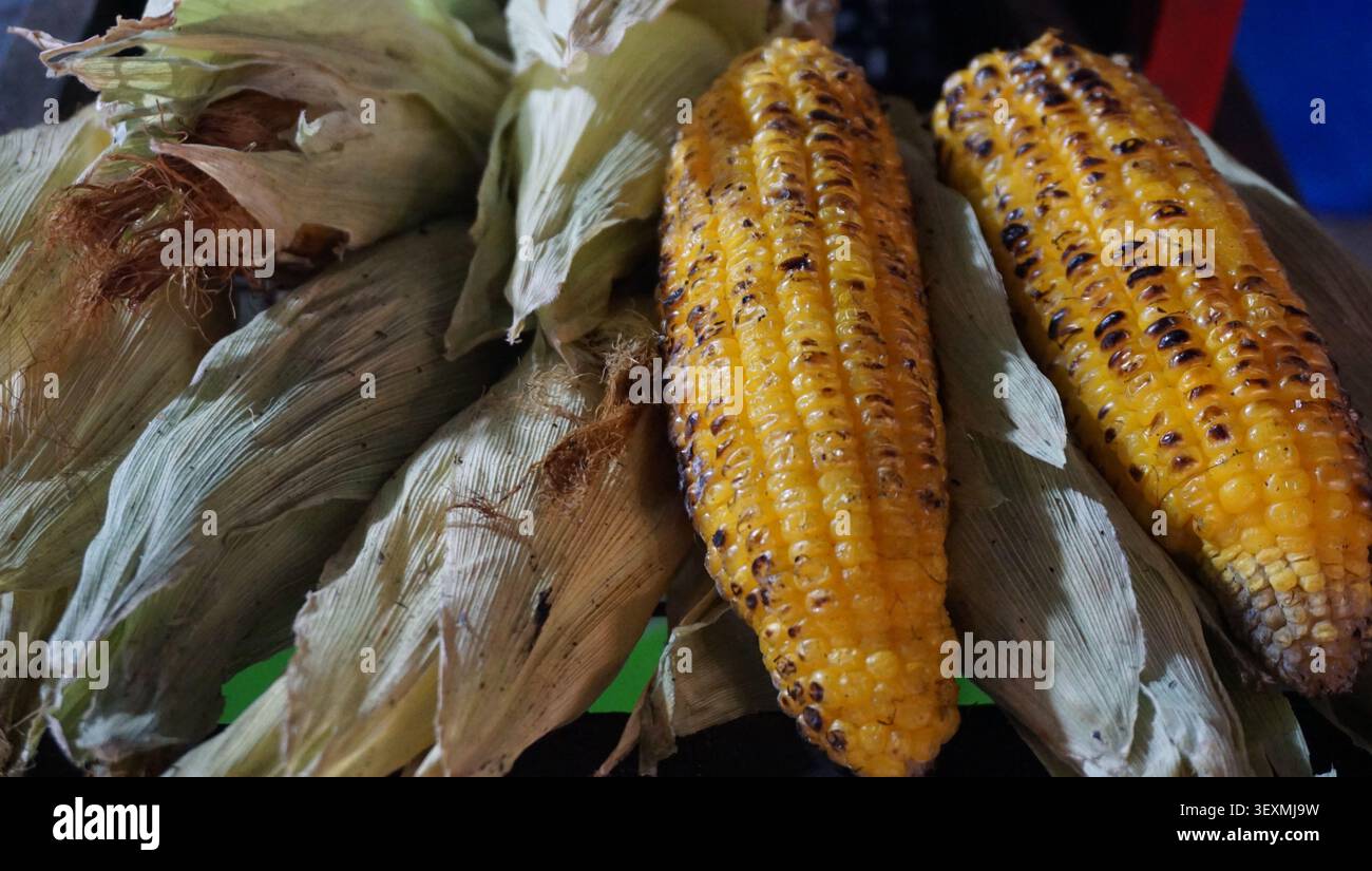 Charcoal Grilled Corn with Fresh Husks Stock Photo