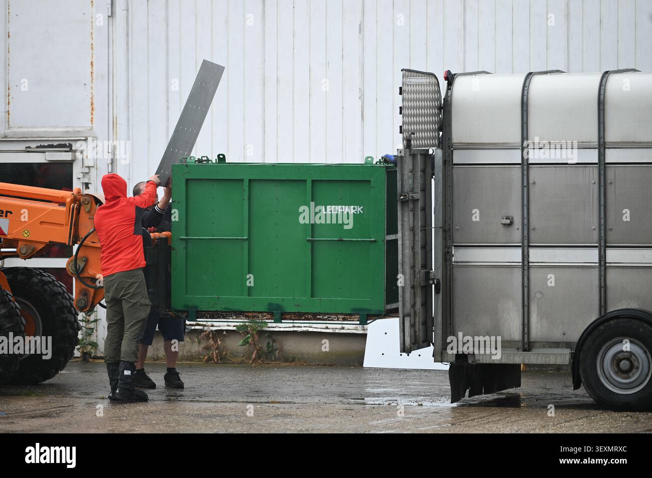 01 July 2026, Saxony, Schkeuditz: A transport container is being loaded ...