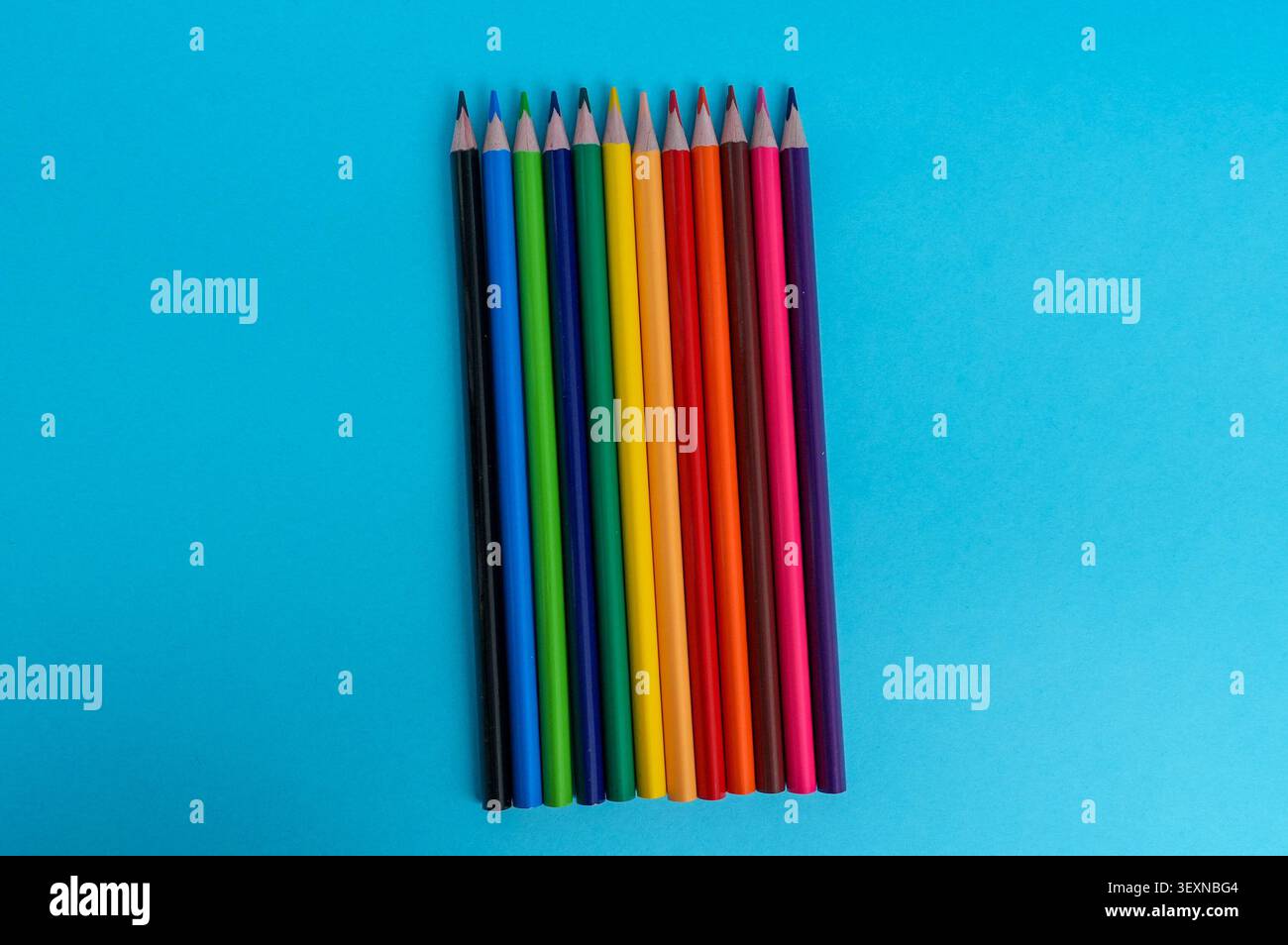 Colored pencils on blue background. Back to school concept. Stock Photo