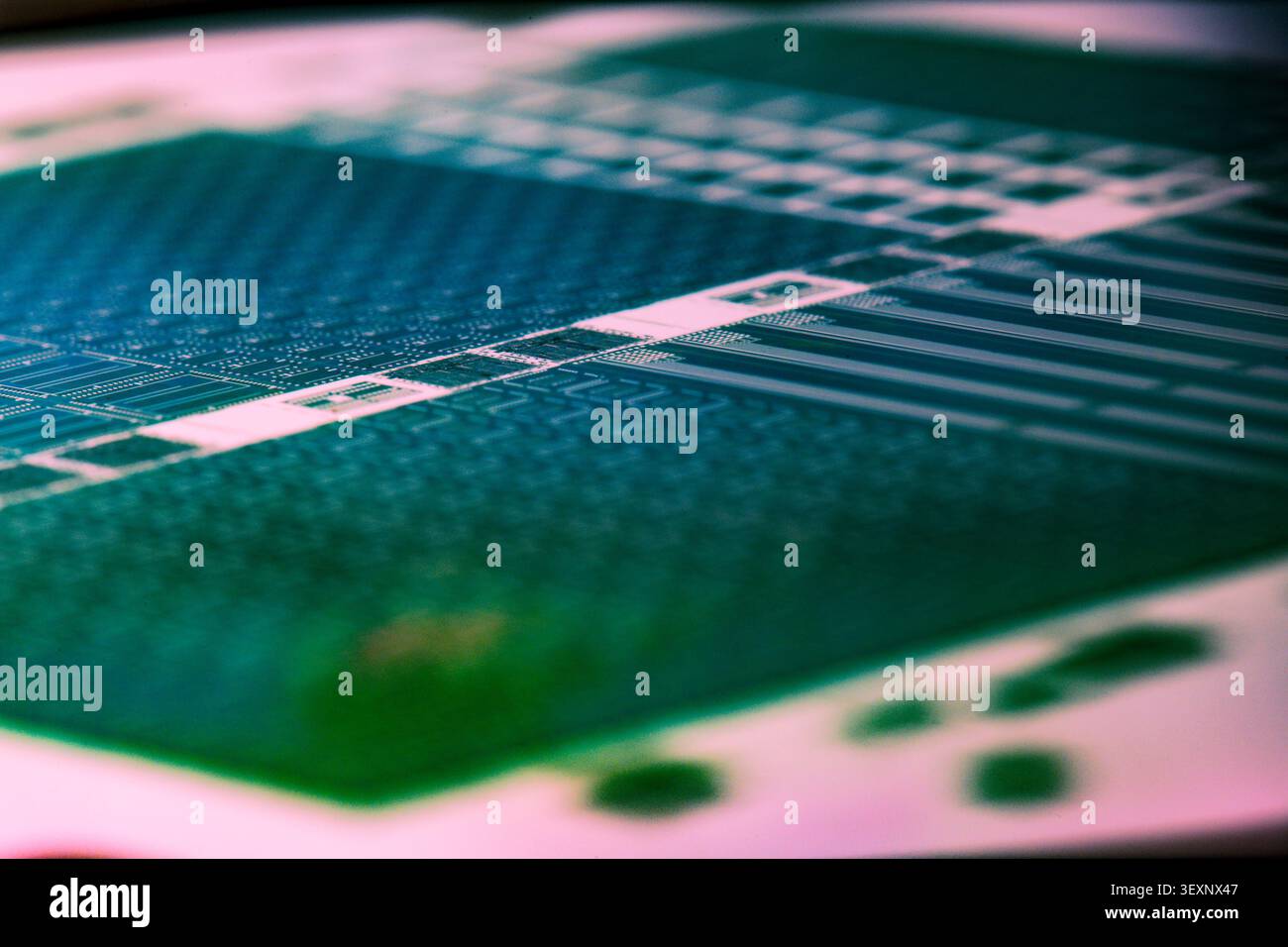 Silicon wafer displaying microchip patterns, symbolizing technology and design Stock Photo
