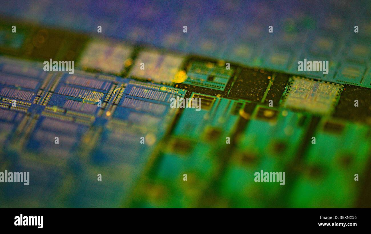 Silicon wafer displaying intricate electronic chip patterns for modern technology Stock Photo