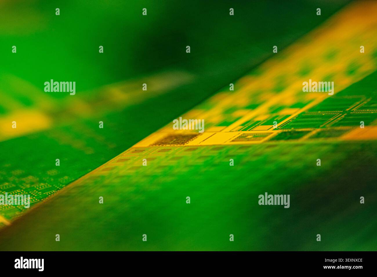 Wafer surface displaying microchip patterns, reflecting green and golden light Stock Photo
