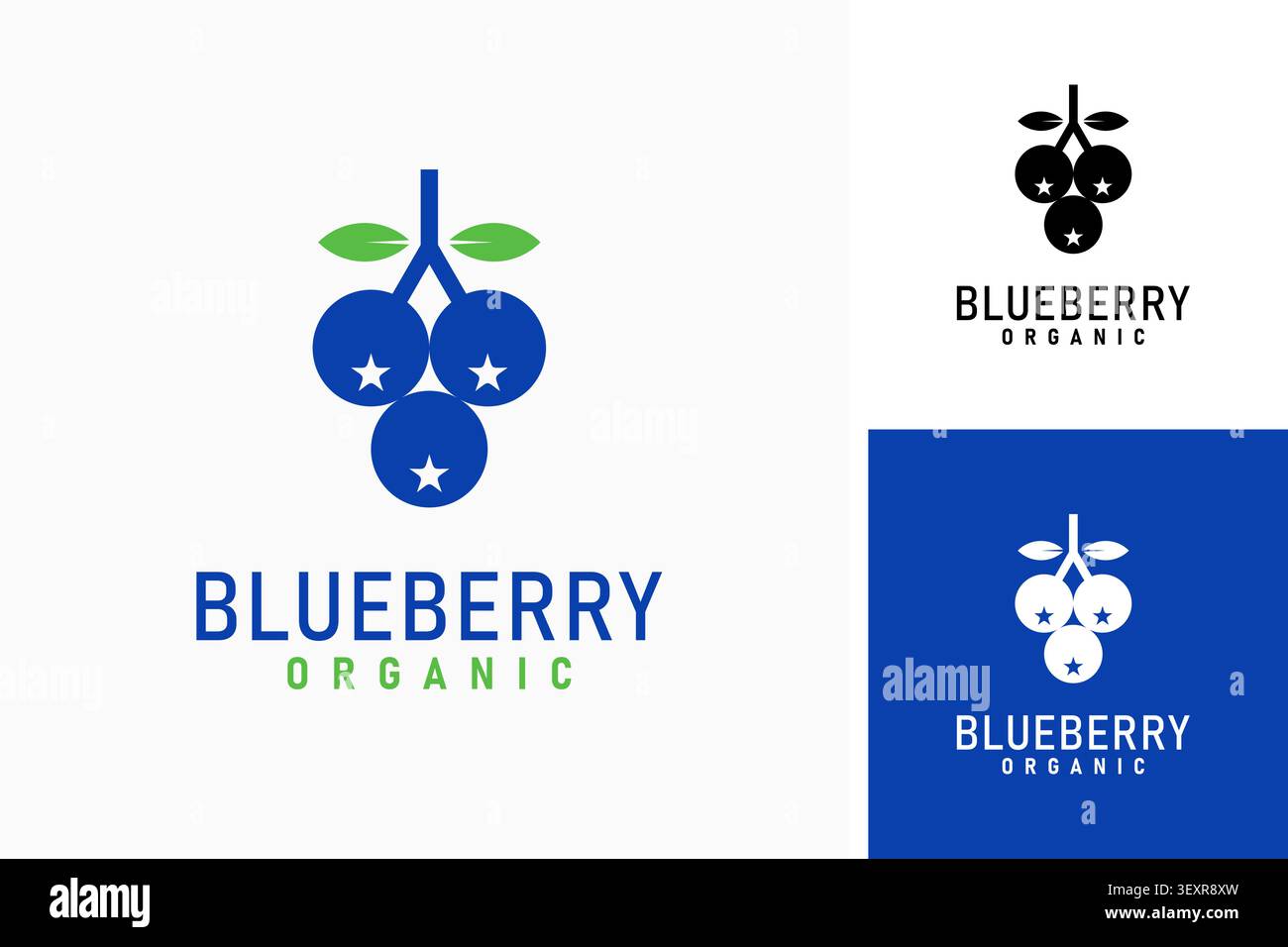 Blueberry logo symbol icon design Stock Vector