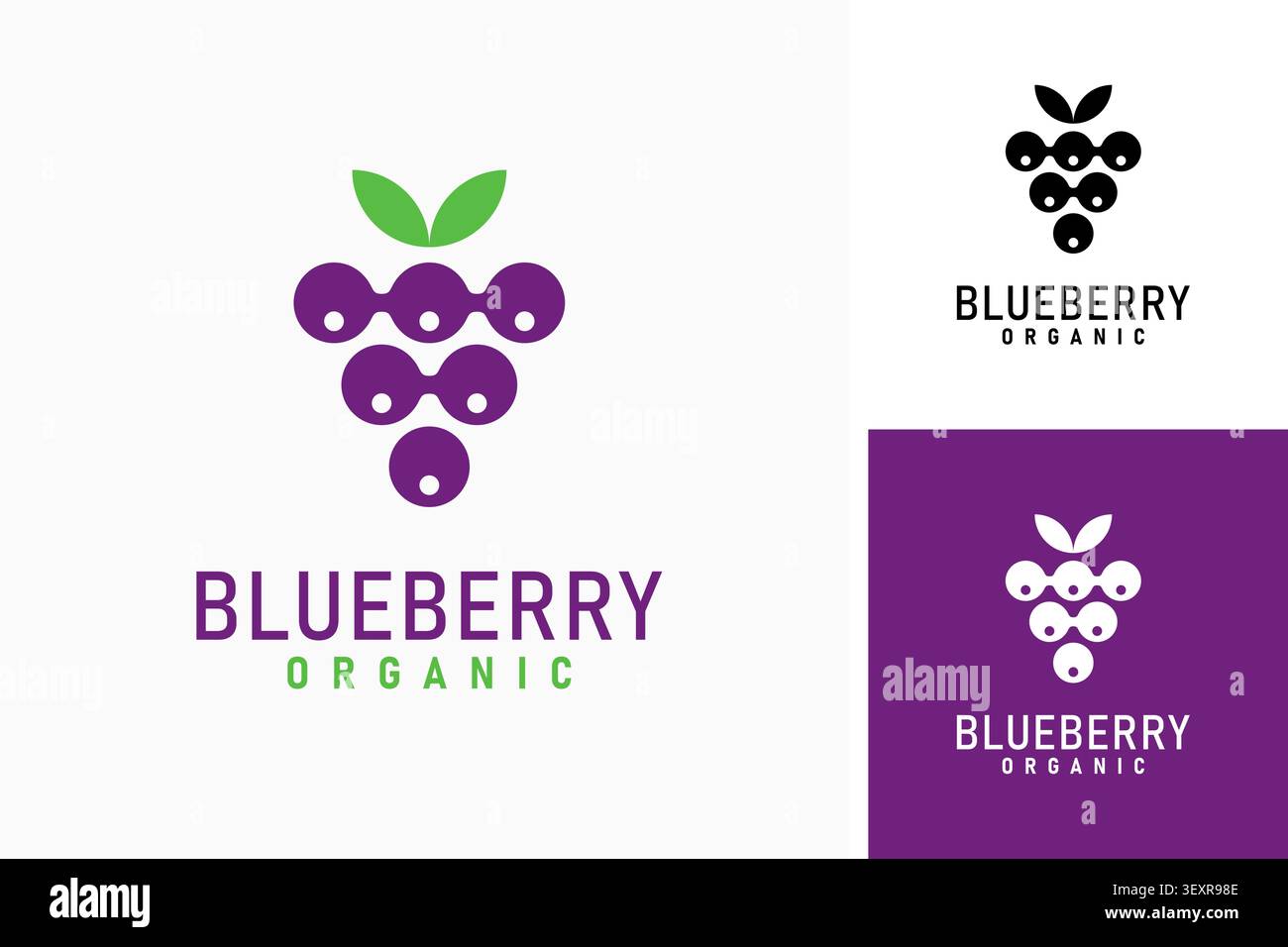 Blueberry logo symbol icon design Stock Vector