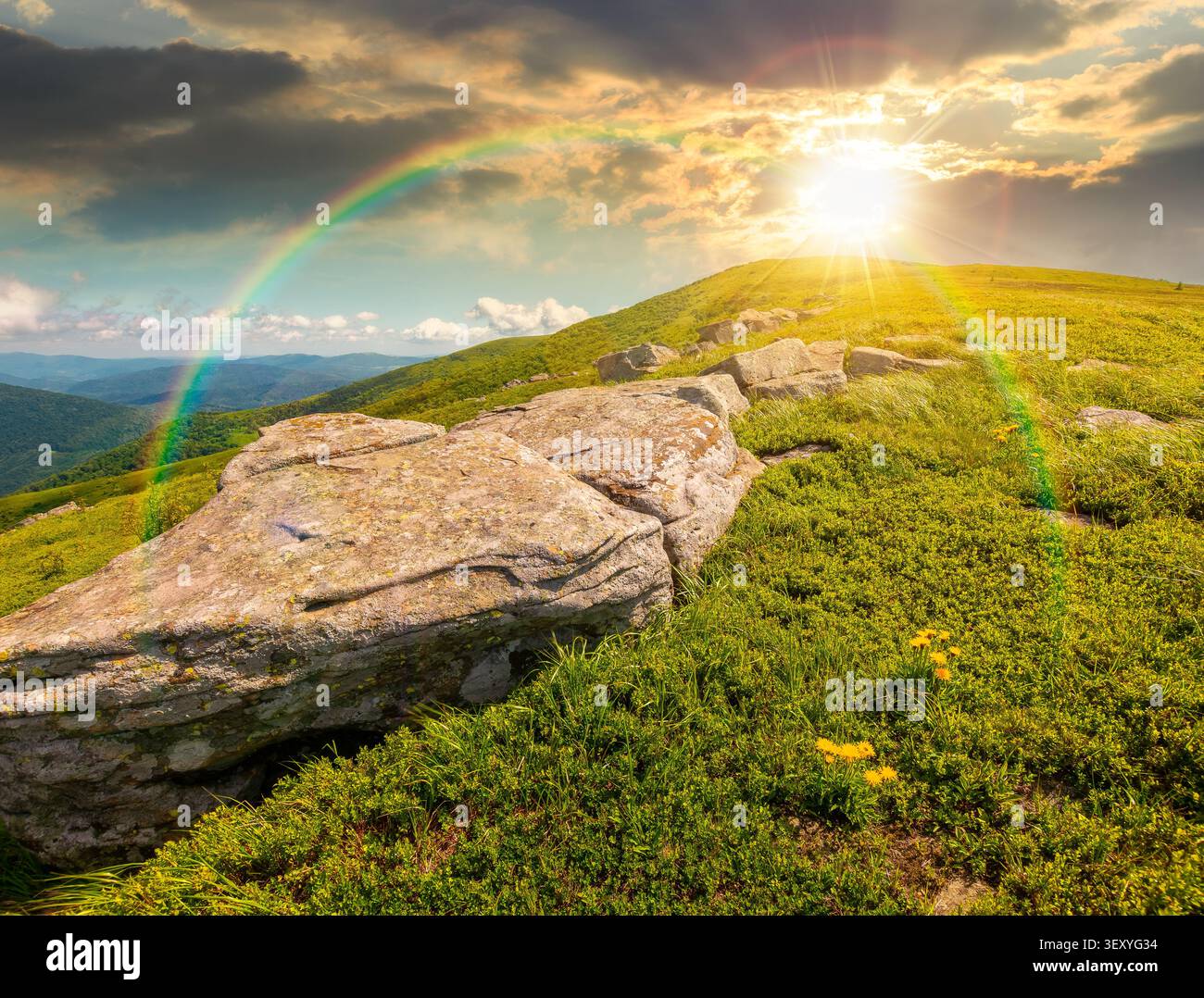 sunset over carpathian mountain landscape in summer. nice view of a grassy alpine meadow. rock and yellow herbs on the hill. sunny mountain weather wi Stock Photo