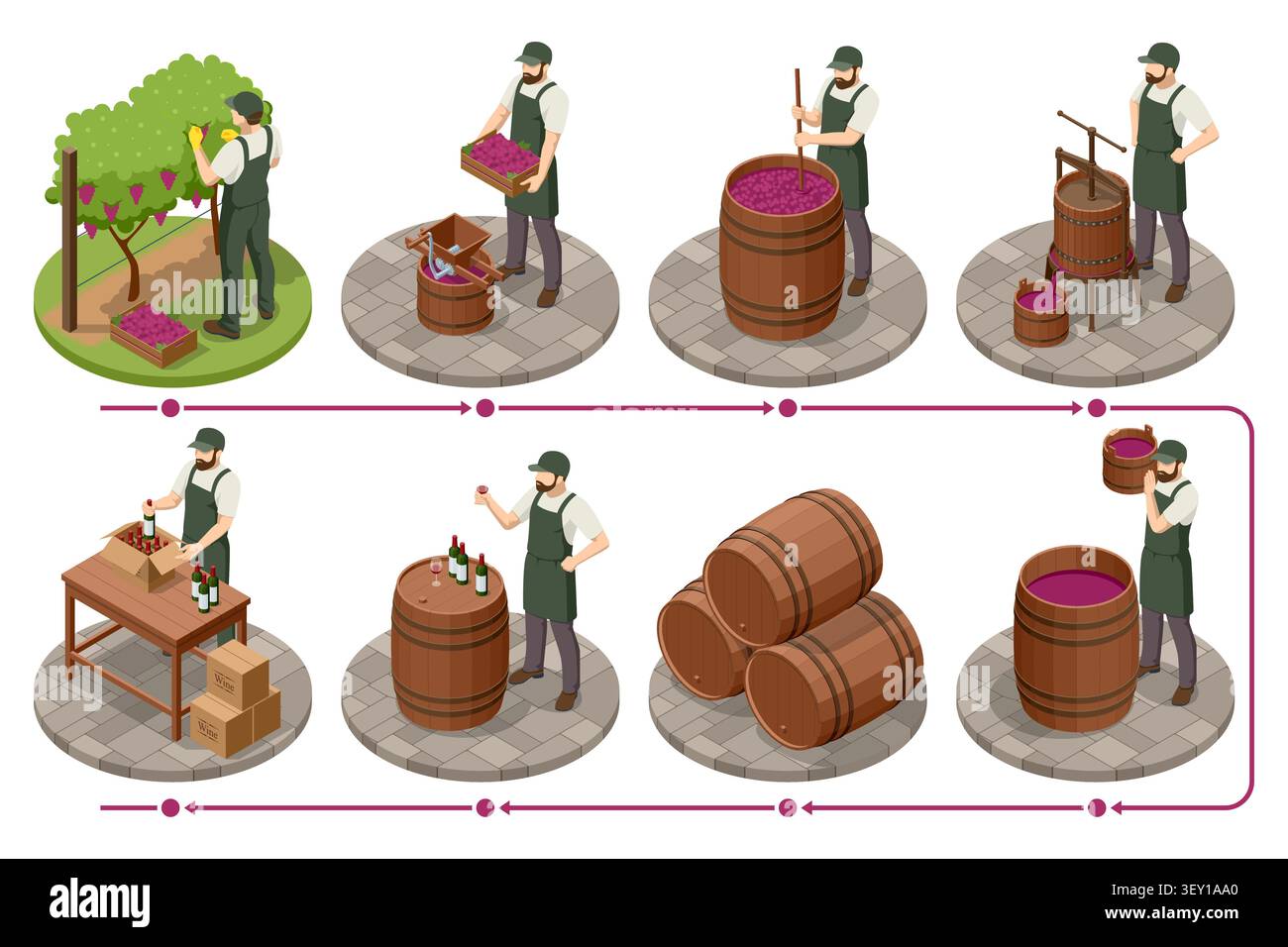 Isometric wine production infographic with grape harvest, press, vat, barrel and bottle stages linked by arrows. Step by step winery illustration Stock Vector