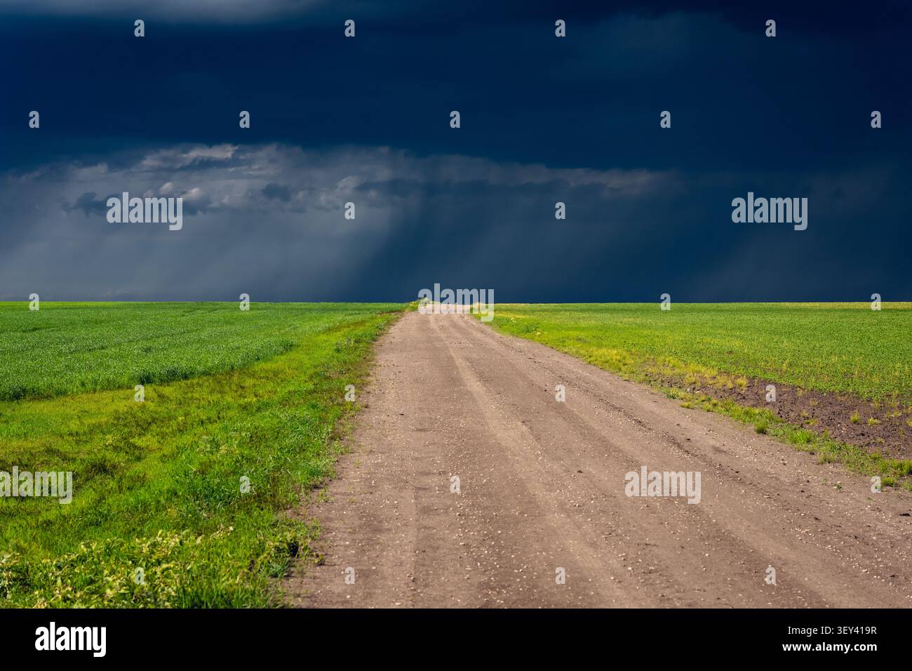 Long dirt road cutting through bright green fields beneath dramatic, dark approaching storm clouds Stock Photo