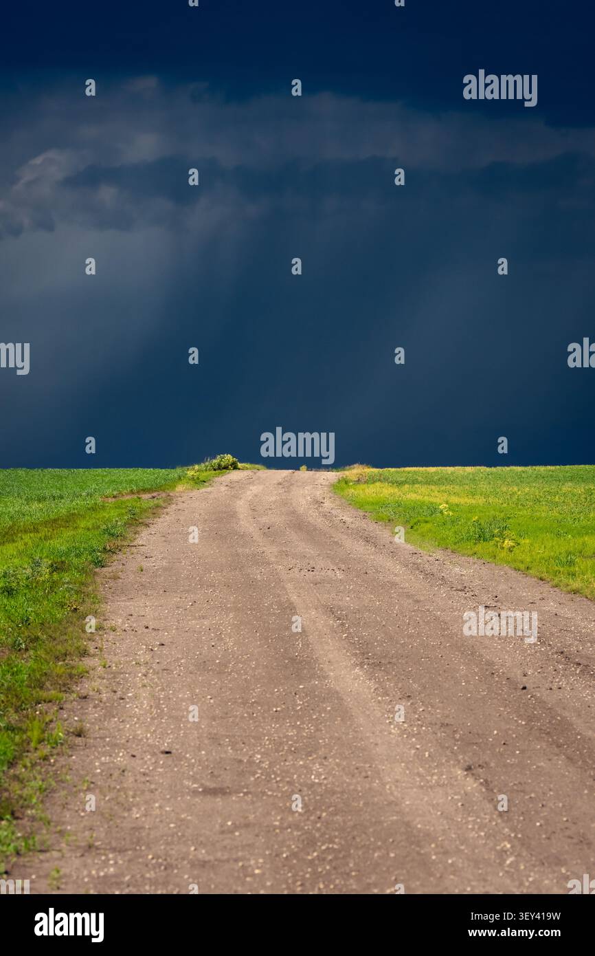 Long dirt road cutting through bright green fields beneath dramatic, dark approaching storm clouds Stock Photo