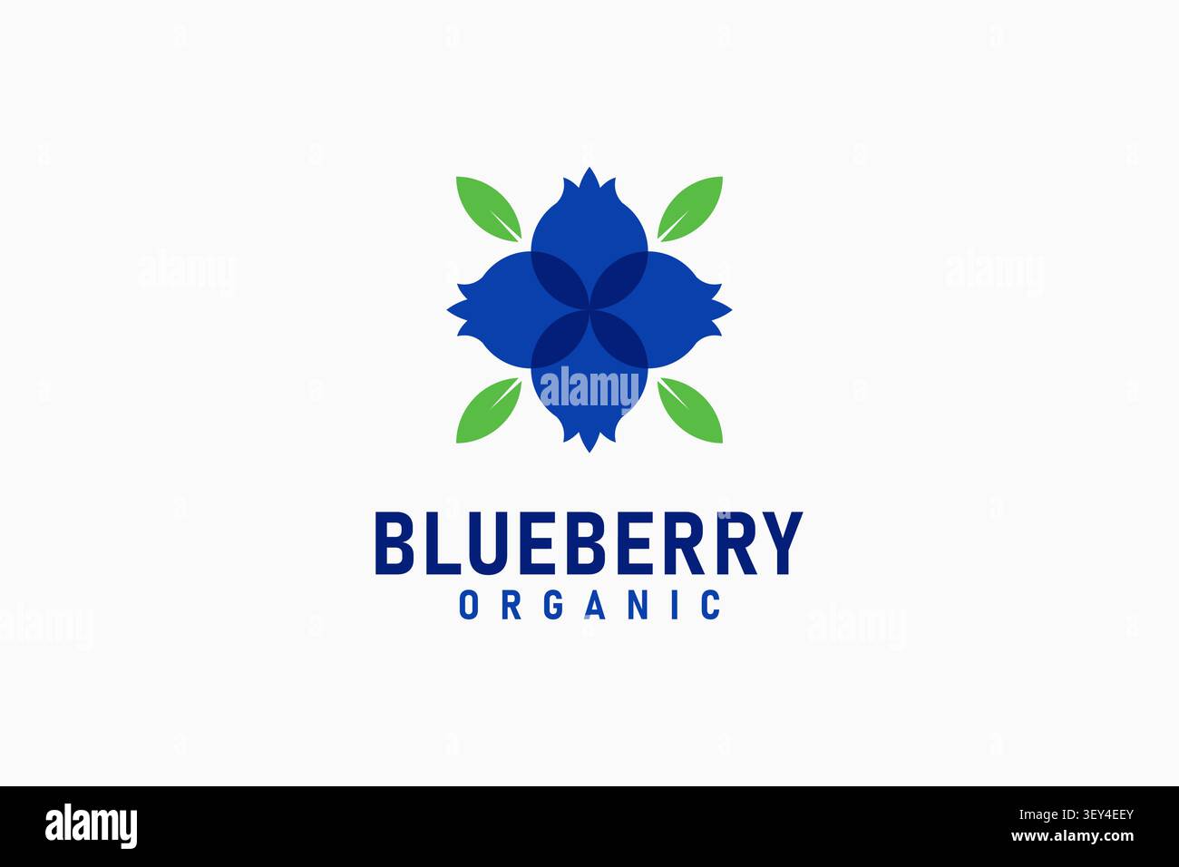 Blueberry logo symbol icon design Stock Vector