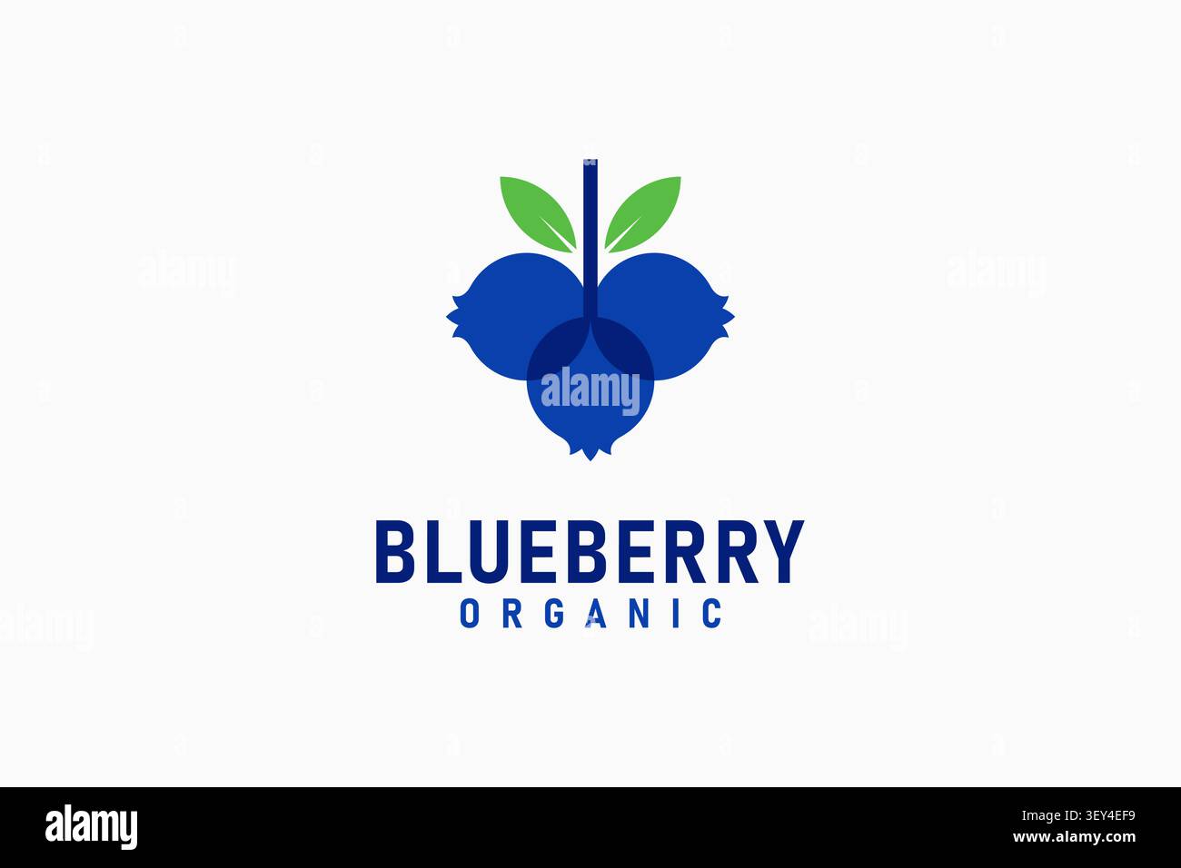Blueberry logo symbol icon design Stock Vector