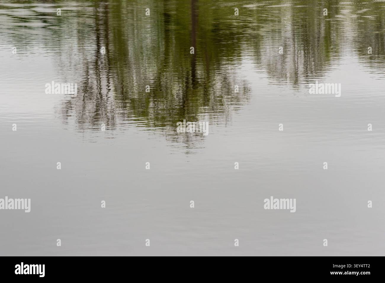 Trees reflected on rippling pond surface with calm open water below Stock Photo