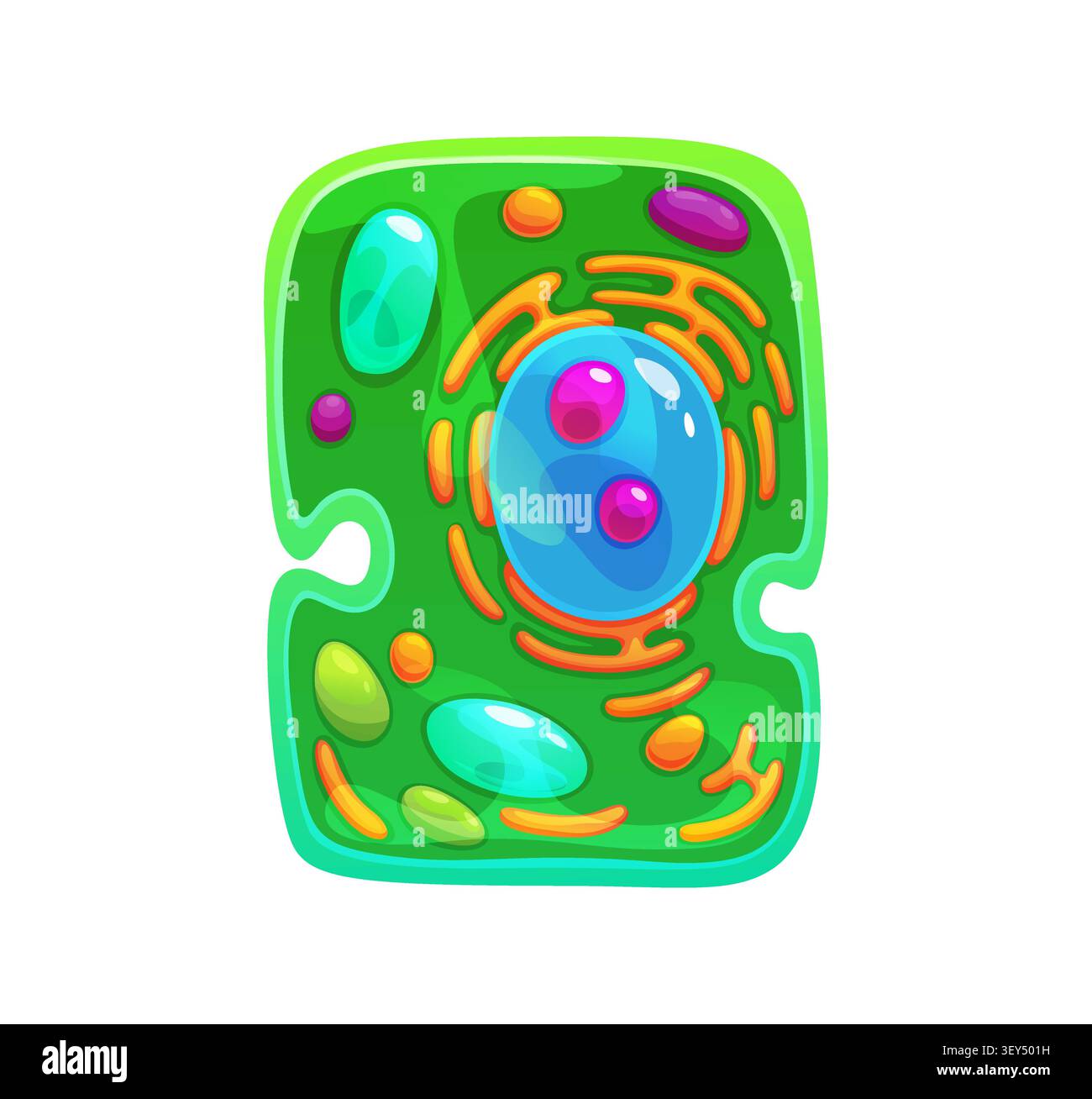 Ameba cell, germ microorganism, bacteria bacillus Stock Vector