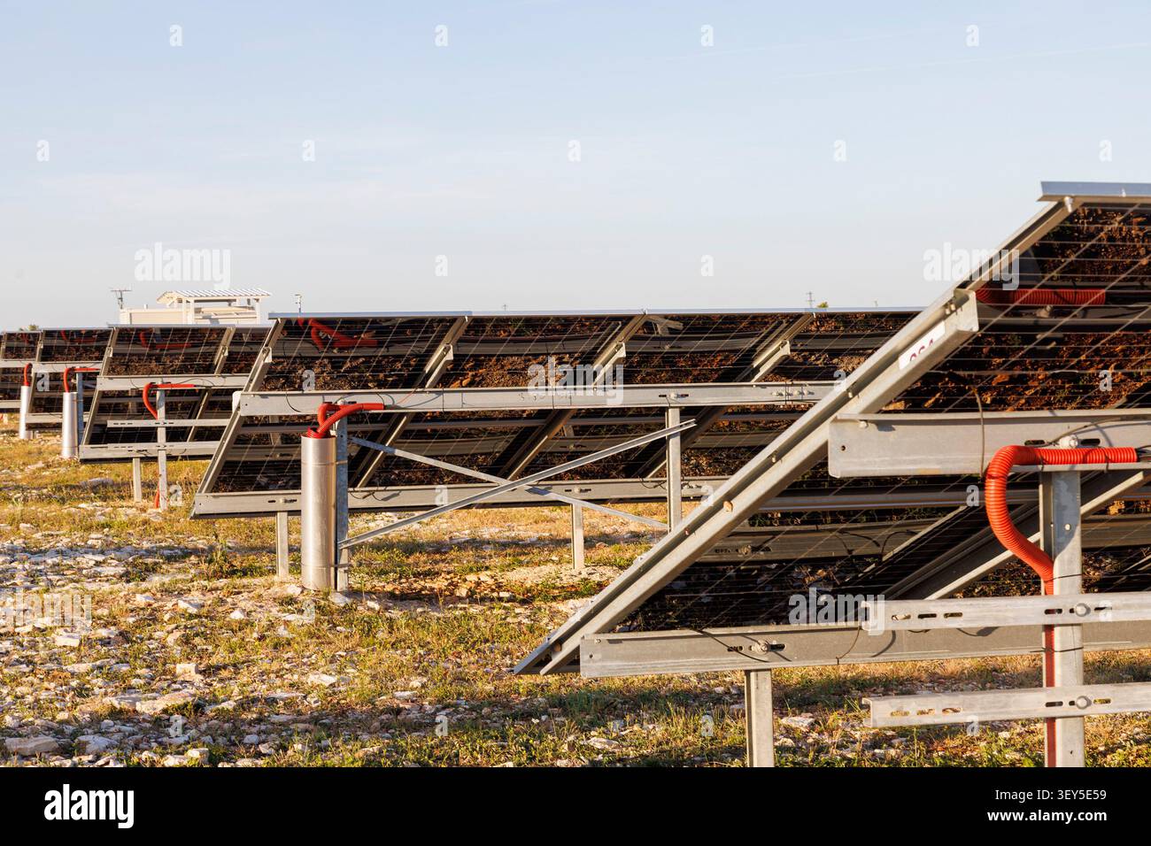 Solar Panels at a Utility-Scale Solar Power Plant Stock Photo