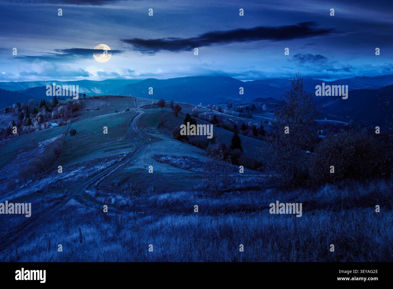 winding rural dirt path through hill at night. rolling countryside of ukraine in fall color. cloudy sky in full moon light. carpathian mountains in au Stock Photo