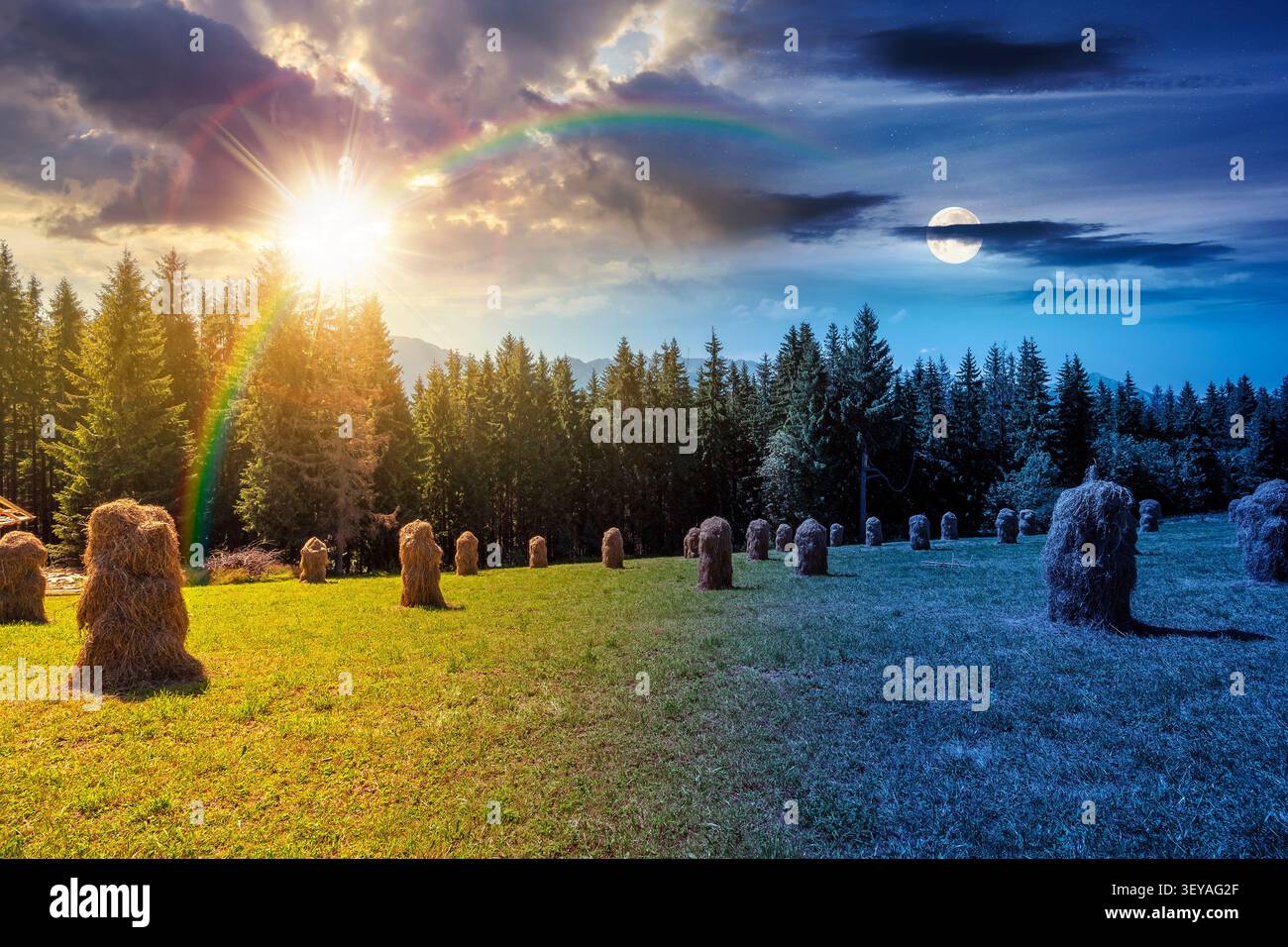 rural landscape with coniferous forest on a green hill. day meet night. sun and moon over spruce trees on grassy meadow in tatra mountains at twilight Stock Photo