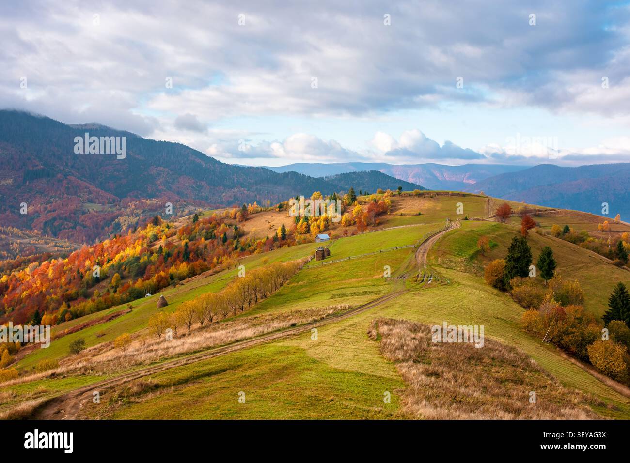winding rural dirt path through hill. rolling countryside of ukraine in fall color. cloudy morning sky. carpathian mountains in autumn Stock Photo