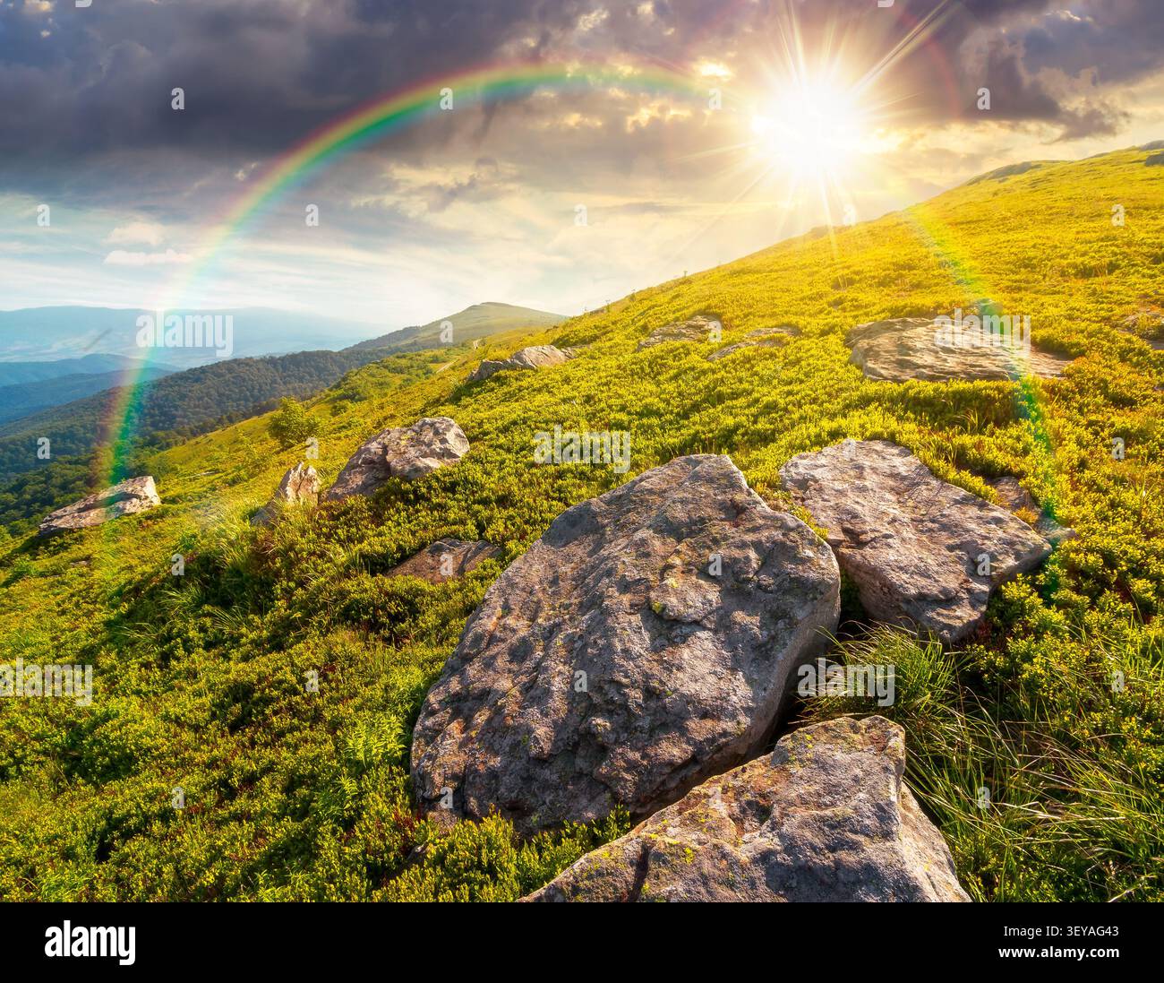 sunset over alpine meadow in summer nature. wild grass and grey rocks in carpathian landscape. mountain scenery of perechyn district, ukraine. weather Stock Photo