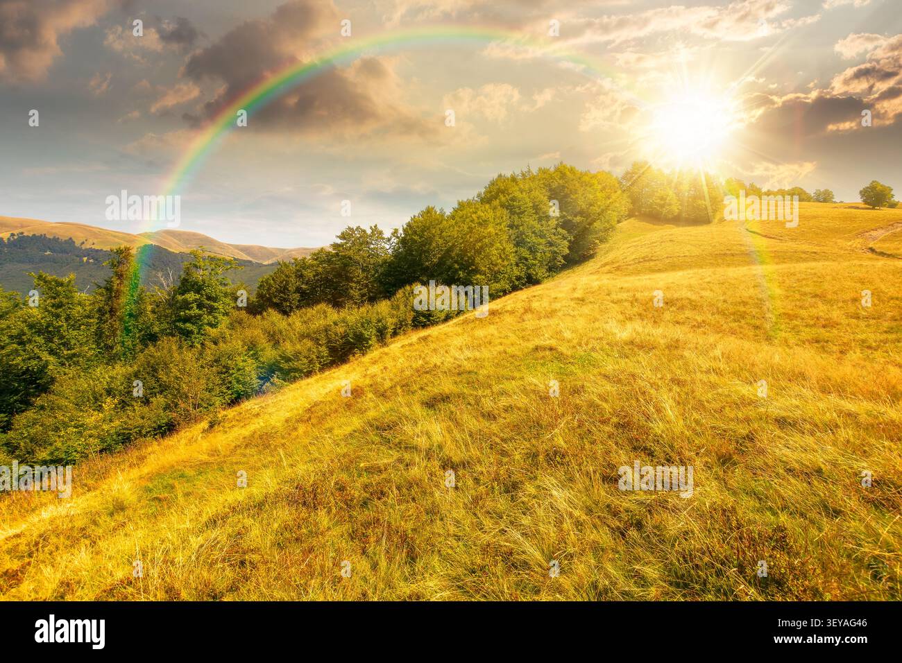 sunset over carpathian mountain field. view of countryside summertime landscape with valley behind the forest on the hill. clouds on a sky. travel bac Stock Photo
