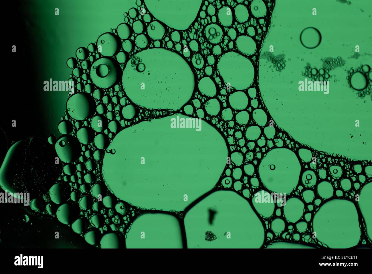 Closeup view of green illuminated bubbles and foam cells suspended in liquid, creating organic microscopic texture with dark outlines and scientific abstract Stock Photo