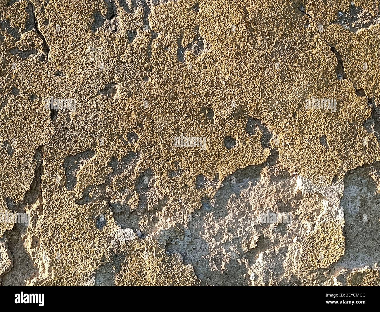 Weathered plaster texture background in grazing light. Stock Photo
