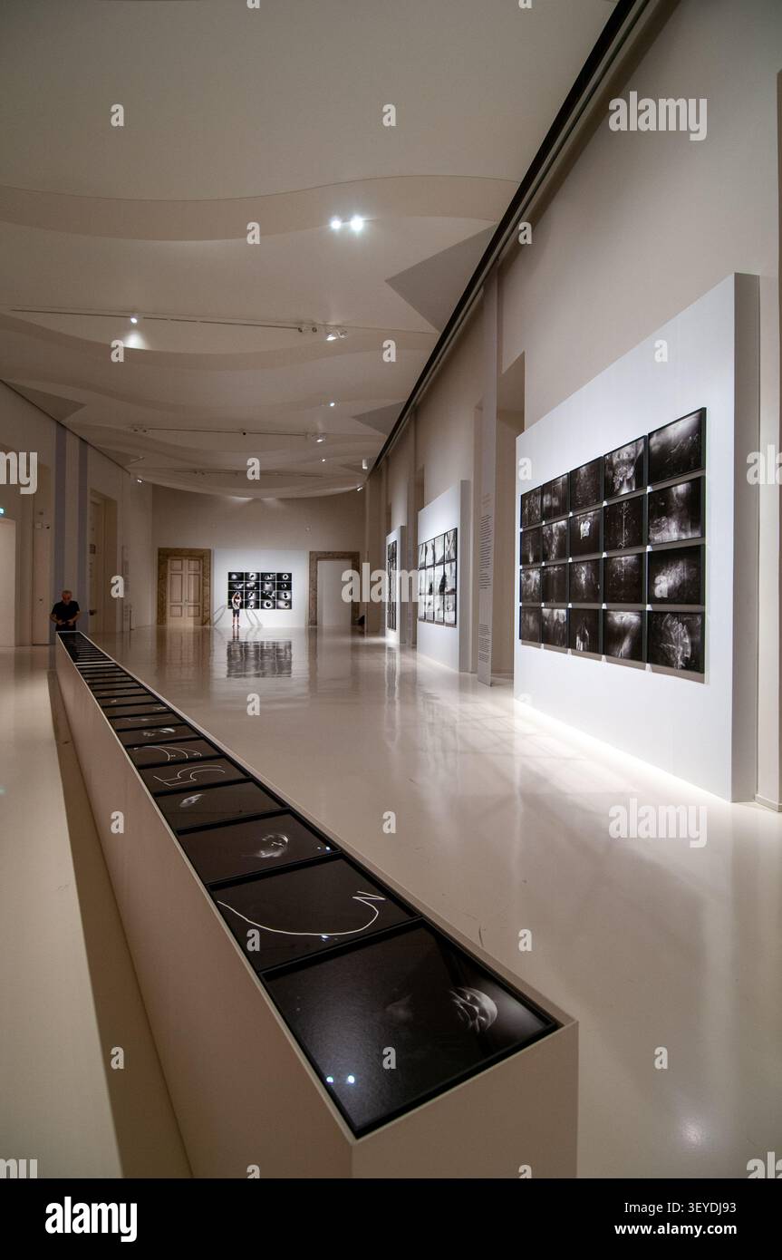 An exhibition by Neapolitan photographer Antonio Biasiucci at the Royal Palace of Caserta. Italy Stock Photo