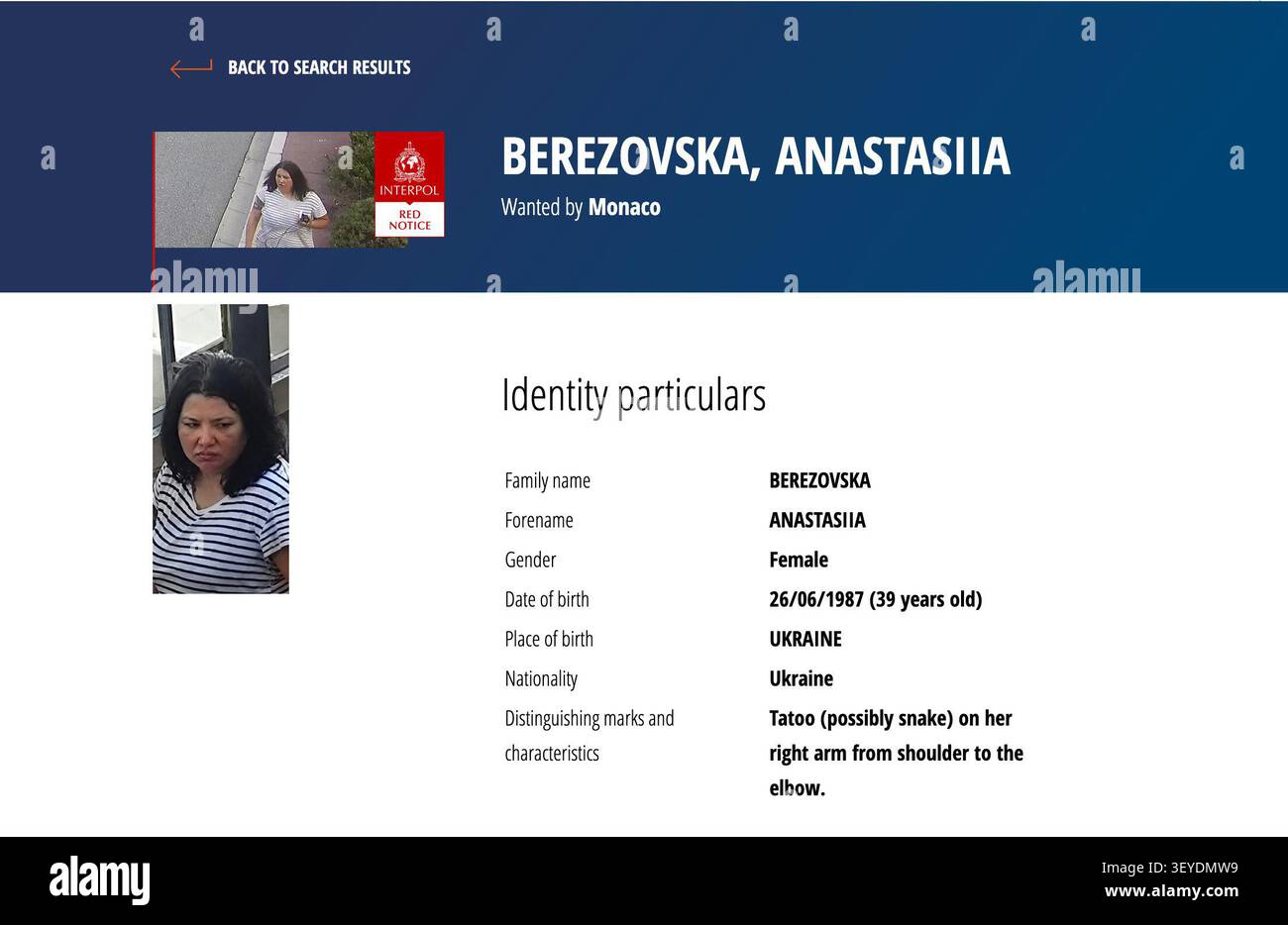 Comparison: The Yermolaiev Business Background Comparison: The Yermolaiev Business Background
