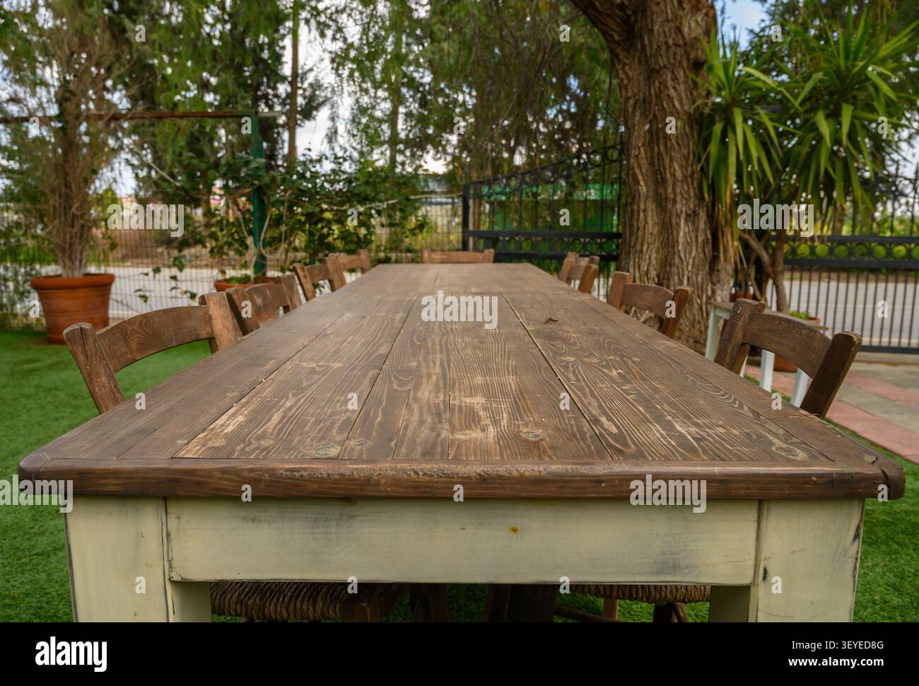A weathered wooden table lined with rustic chairs sits in a lush garden bathed in warm sunlight. Stock Photo