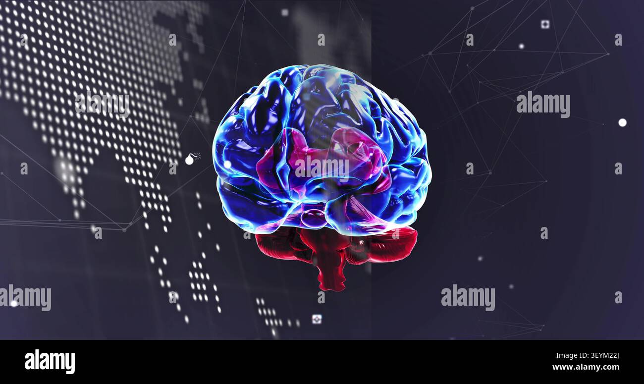 Rotating translucent 3D brain showing blue-magenta-red regions in virtual data studio, code map net Stock Photo