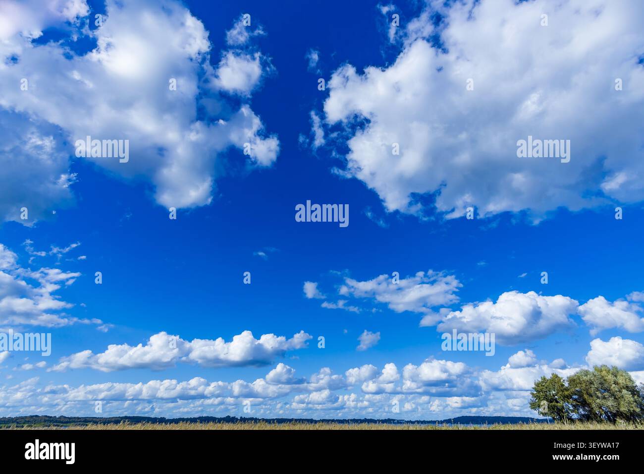 Summer cloudscape with cumulus clouds above open farmland near the historic artists' village of Ferch at Lake Schwielowsee, Brandenburg, Germany. Stock Photo