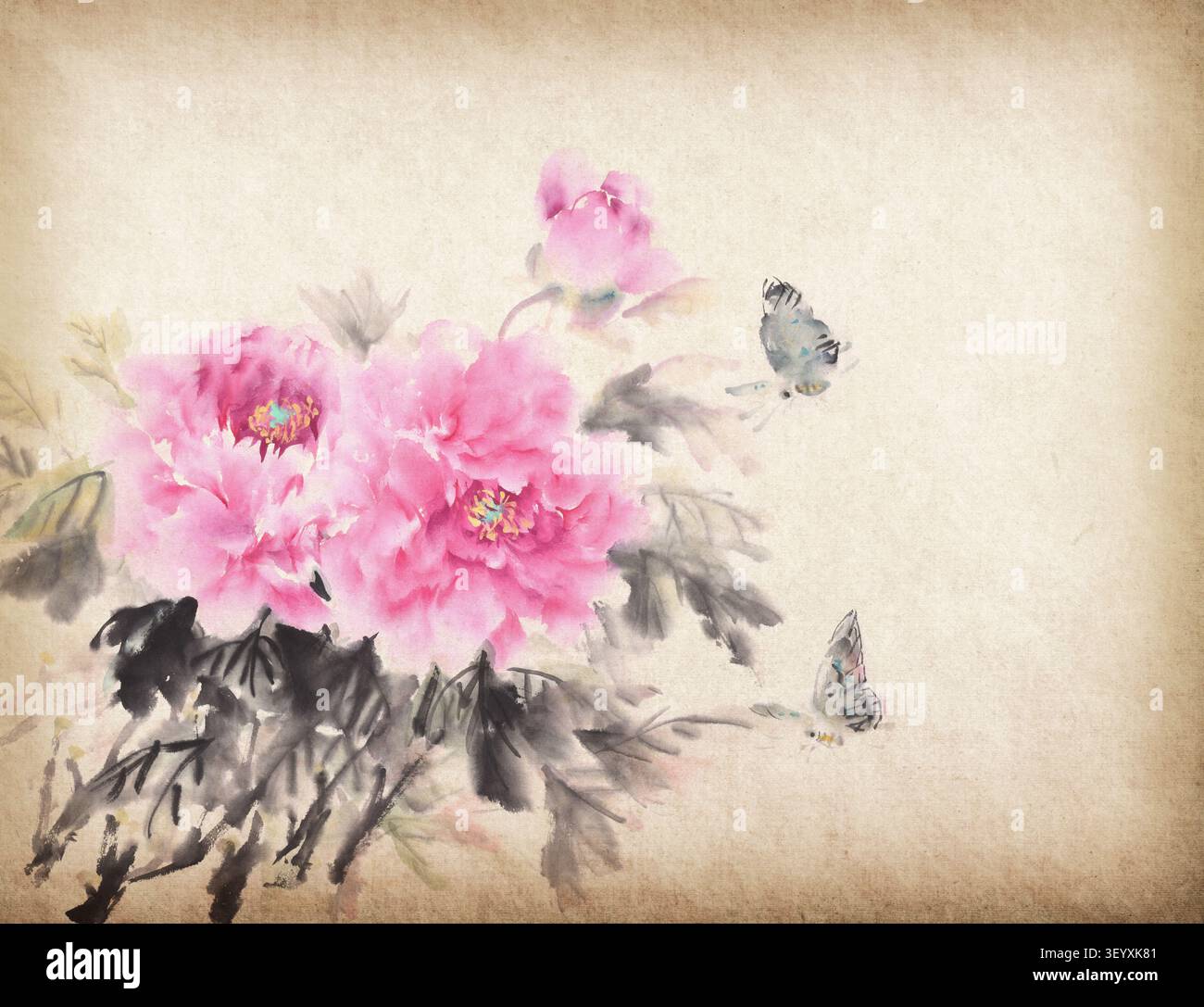 Japanese painting peony hi-res stock photography and images - Alamy