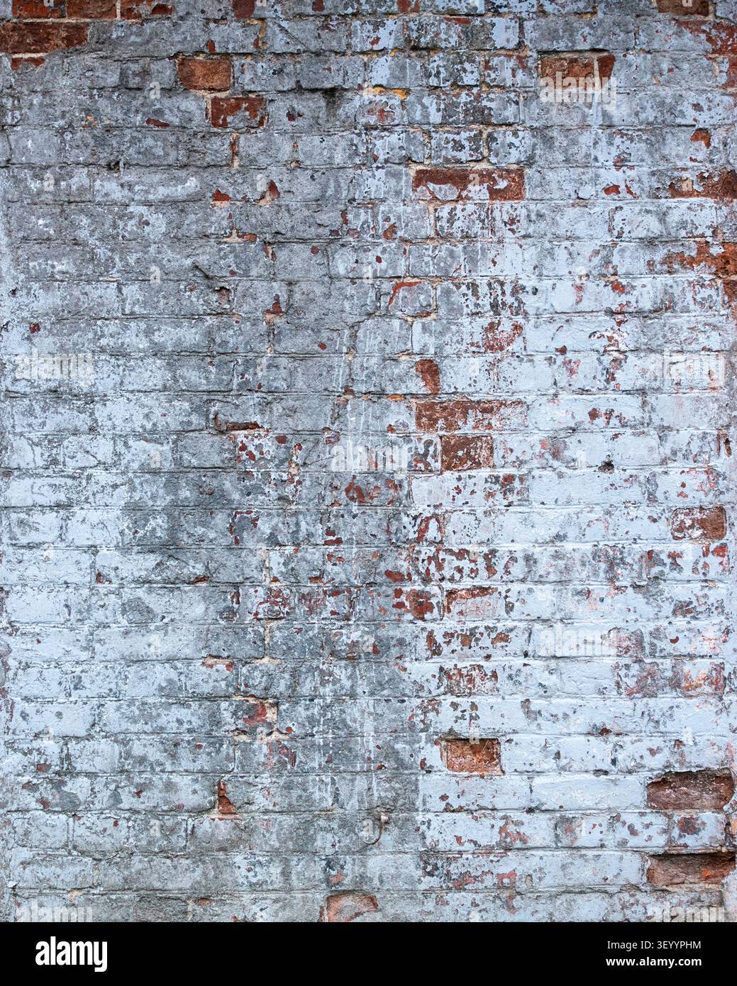 Aged brick wall covered in old whitewash peeling plaster Stock Photo