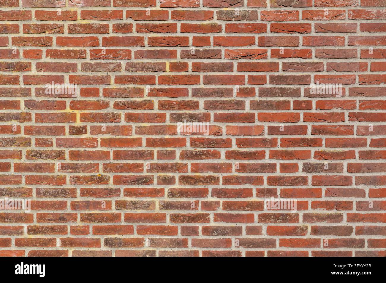 brick wall for background use Stock Photo