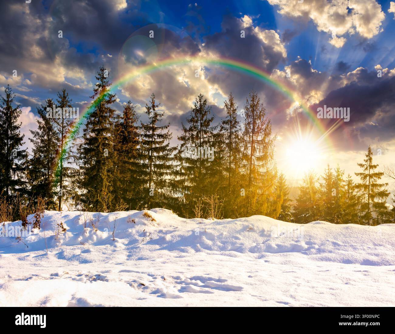 sunset over carpathian mountain landscape in winter. spruce forest on the snow covered hill. mountain scenery of ukraine on a cold weather. transcarpa Stock Photo