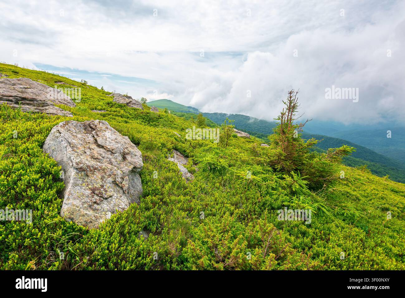 green landscape of mountain in summer. view of rock among grass on the hillside. travel background under a cloudy sky. carpathian mountain scenery wit Stock Photo