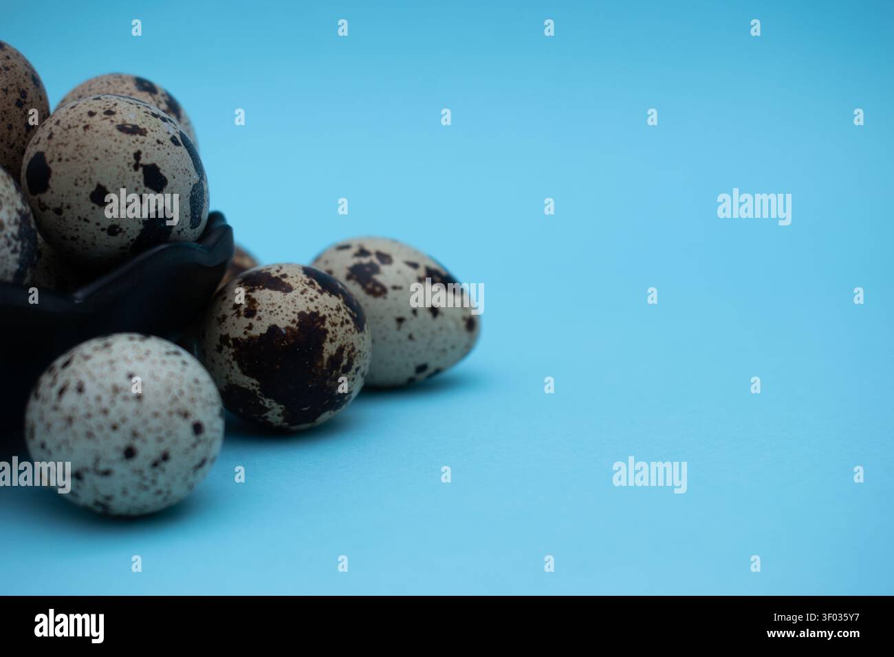 Fresh quail eggs on blue background in various minimalist food compositions Stock Photo