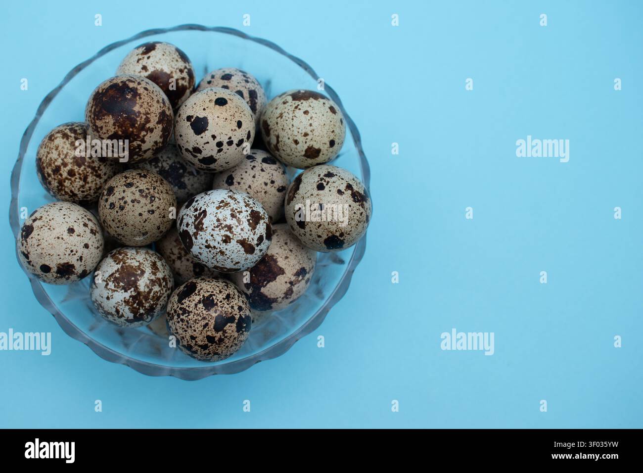 Fresh quail eggs on blue background in various minimalist food compositions Stock Photo