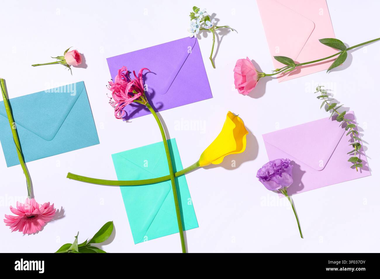 Composition with different envelopes and flowers on white background, closeup Stock Photo