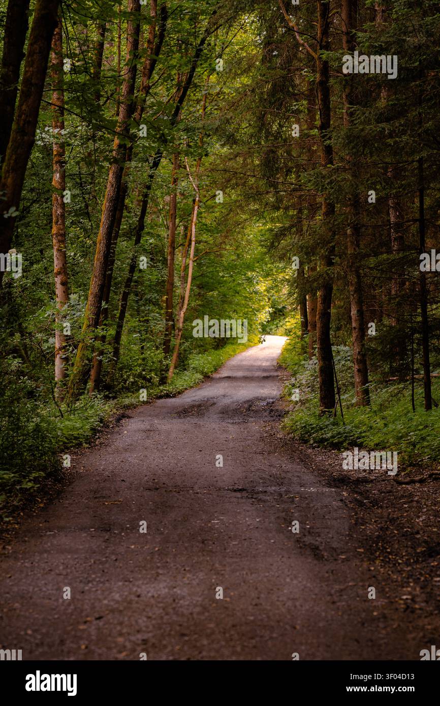 Peaceful woodland trail hi-res stock photography and images - Alamy