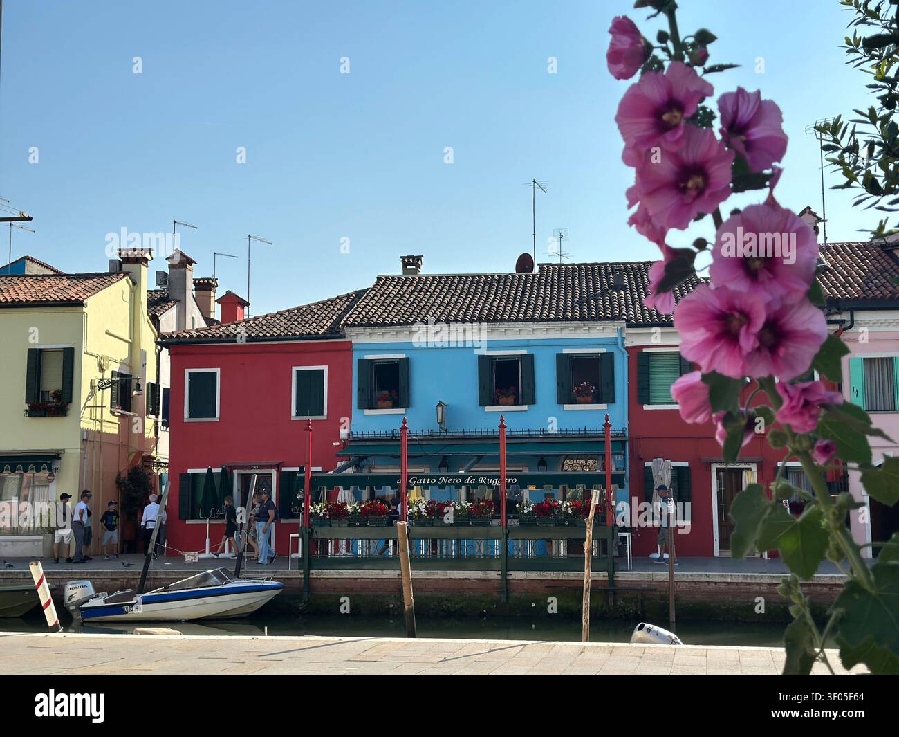 Gatto nero restaurant hi-res stock photography and images - Alamy