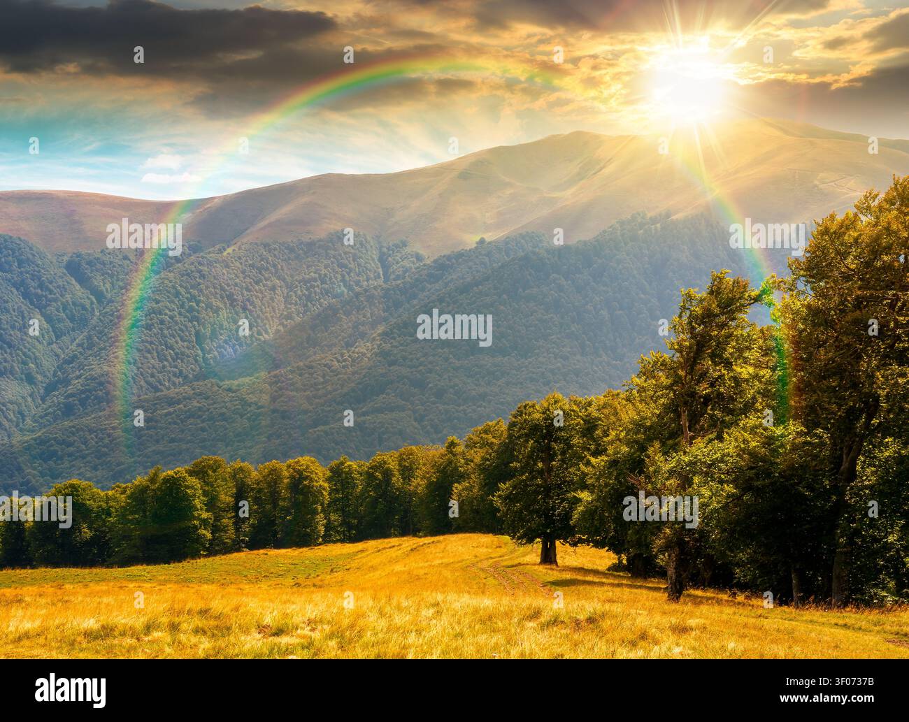 sunset over carpathian mountain landscape in summer. primeval beech forest on the grassy hill. wonderful scenery of ukrainian highlands. pristine ecos Stock Photo