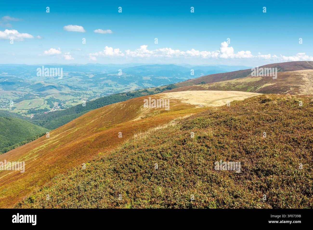 carpathian mountain landscape in late summer. scenic alps of ukraine in the afternoon. background image for hiking through borzhava ridge Stock Photo