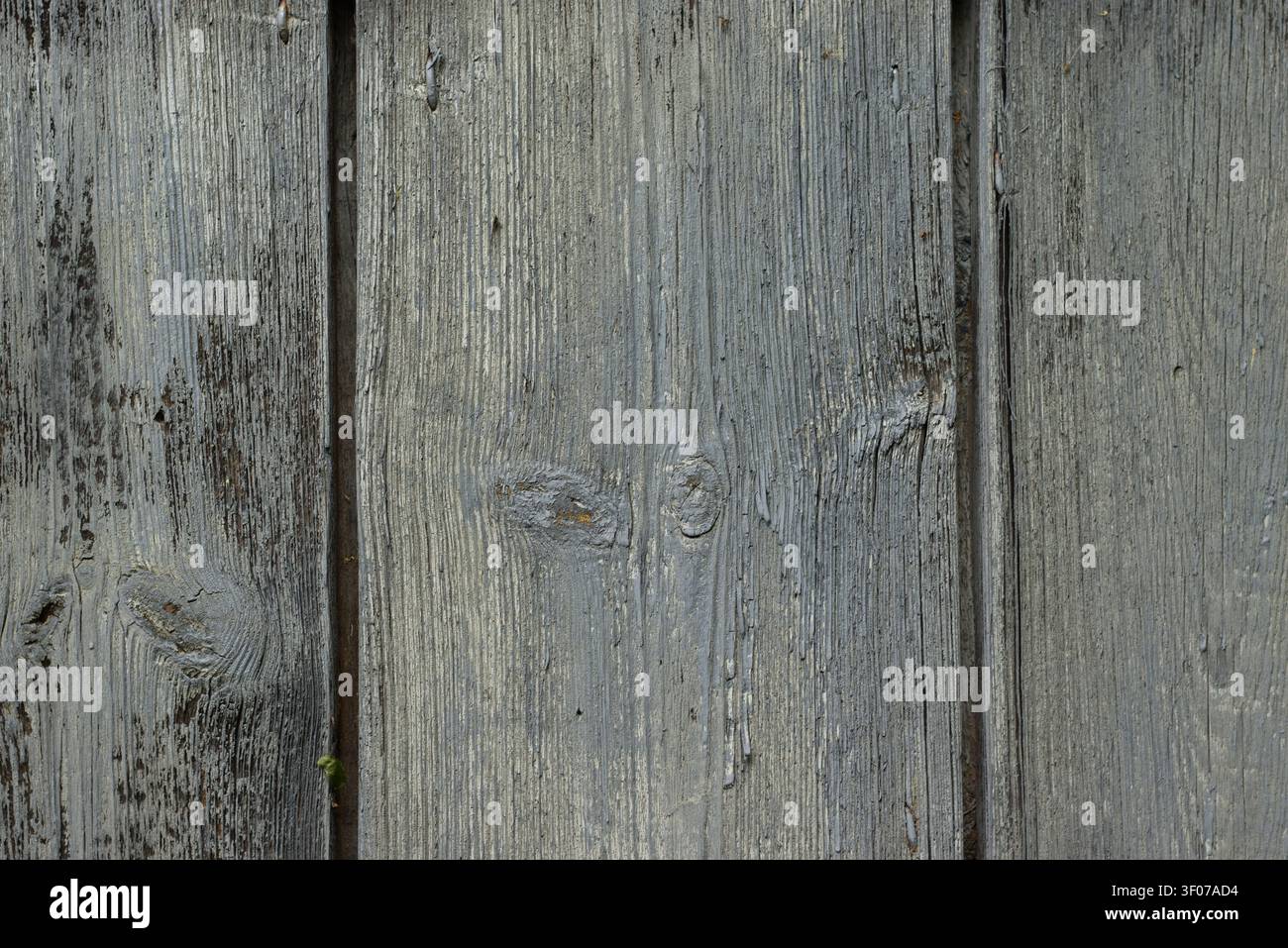 Gray old wooden plank texture Stock Photo