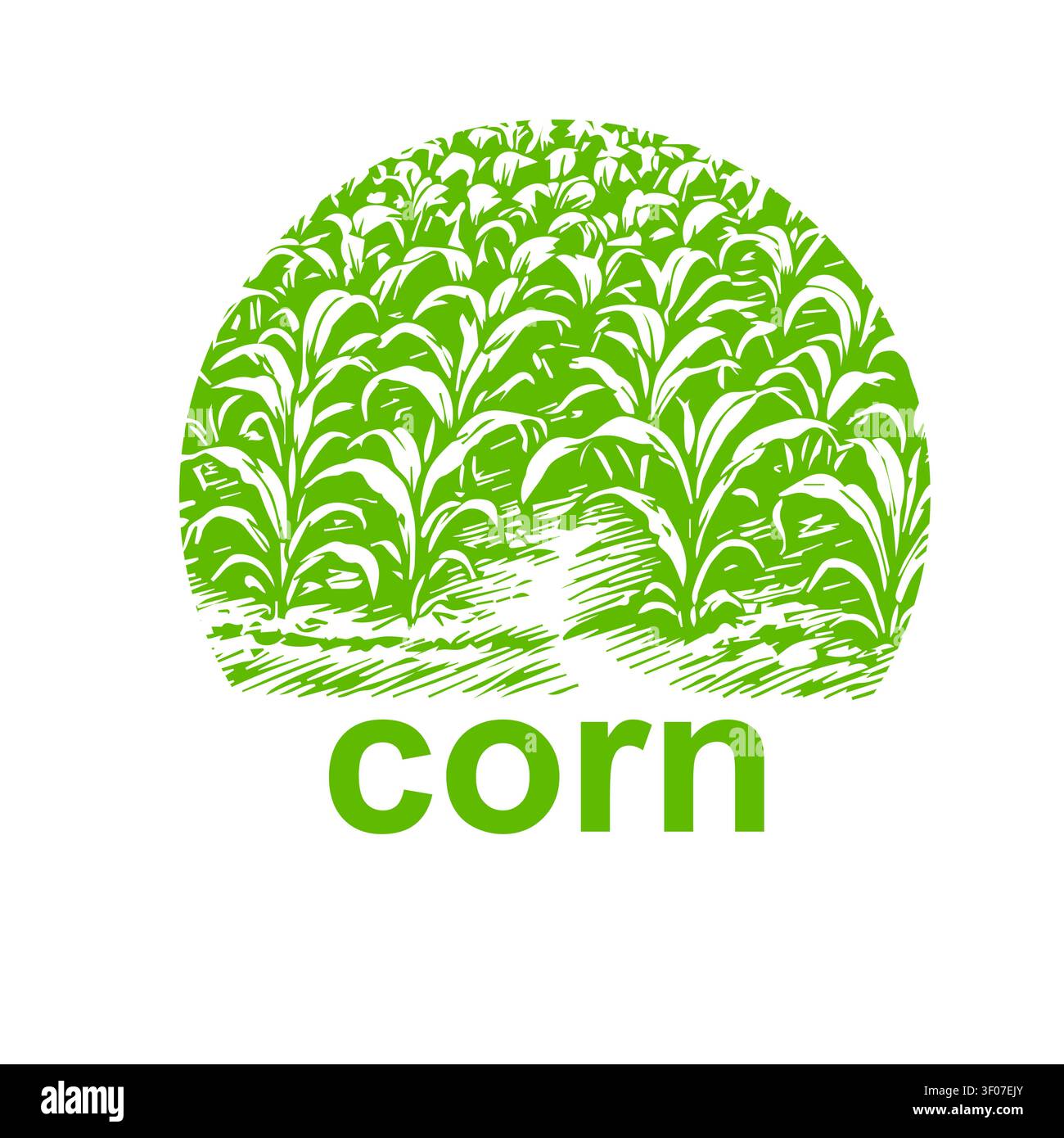 corn field . beautiful summer vector illustration. Stock Vector
