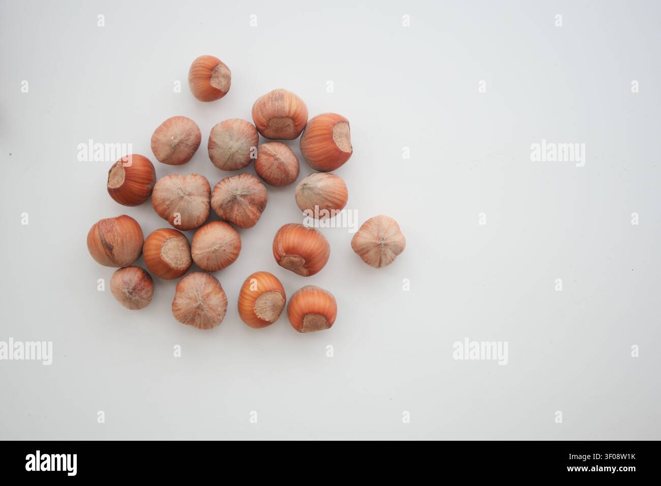 Fresh hazelnuts scattered on a white background Stock Photo