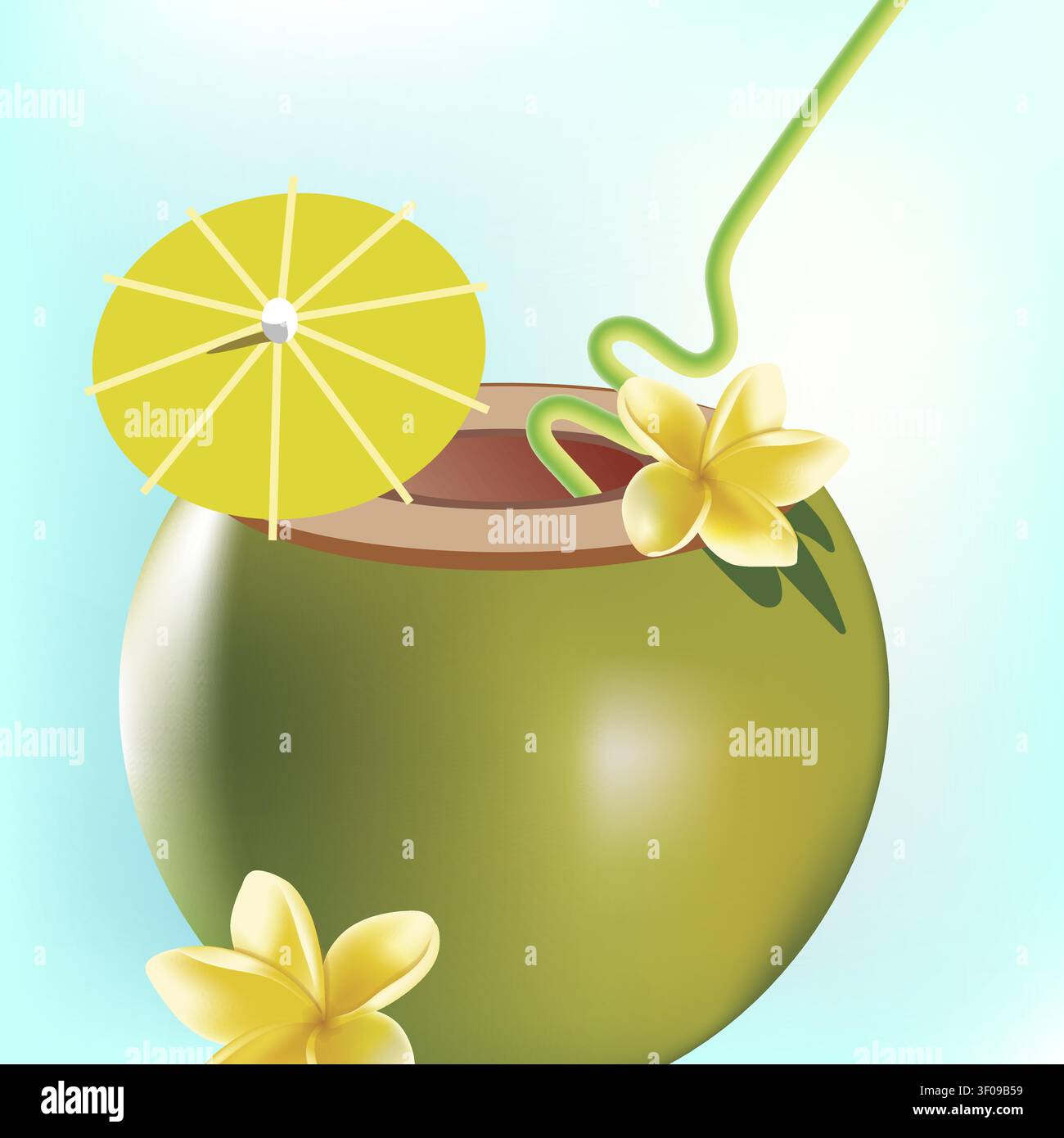 Coconut close up with frangipani Stock Vector