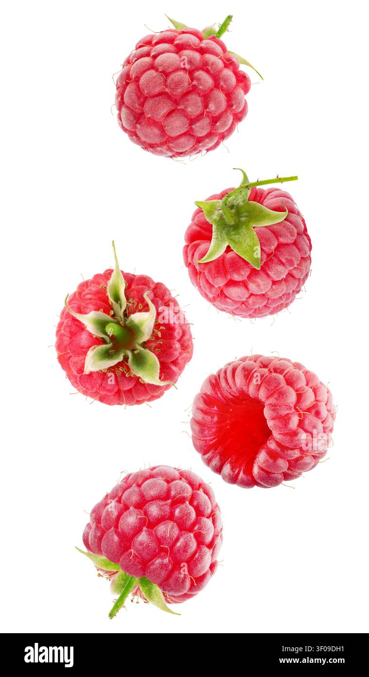 Raspberry collection isolated on white background. Stock Photo