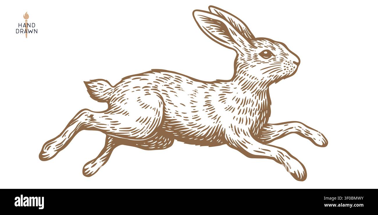 Hare, rabbit sketch. Vintage retro print Stock Vector